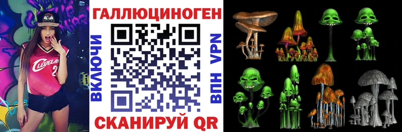 Галлюциногенные грибы MAGIC MUSHROOMS  Багратионовск 